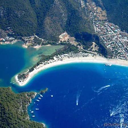 アパートホテル Diana 4*